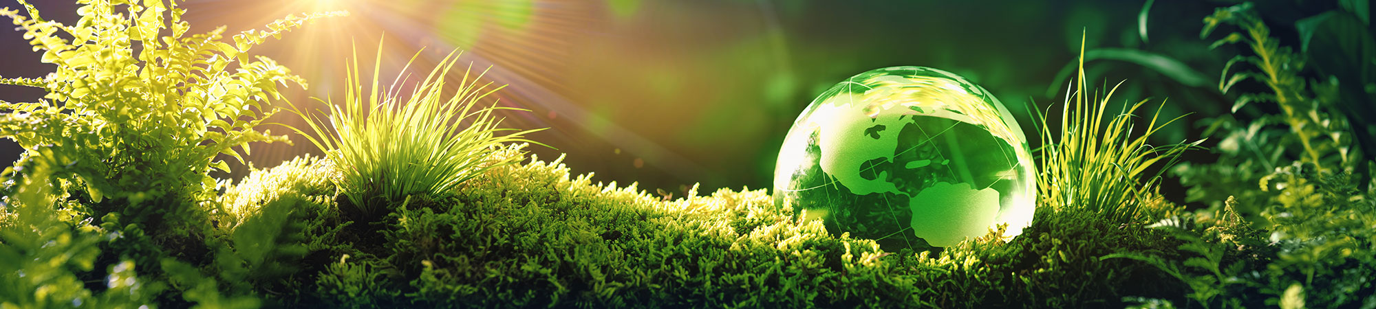 Model globe in grass
